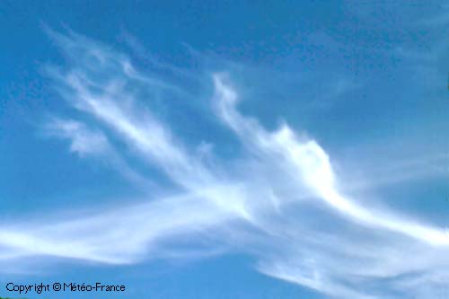 Cirrus