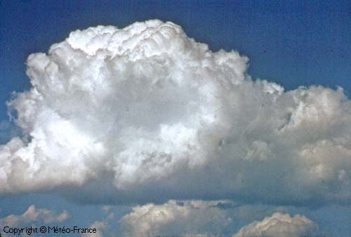 Cumulus